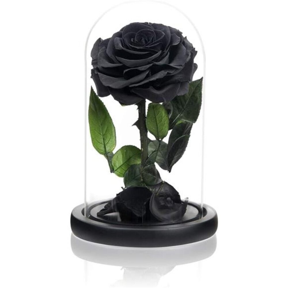 Mothers Day Flowers Black Roses for Mom, Handmade Preserved Roses in Glass Dome